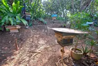 Unity, income from stingless bees