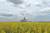 Flourishing despite drought and floods