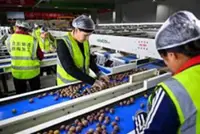 China rejects UN experts' concerns for alleged forced labour in Xinjiang