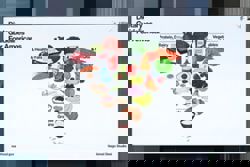US brings back a revamped Food Pyramid