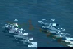 Singapore investigating the sinking of Singapore-flagged ship in South China Sea that left two dead