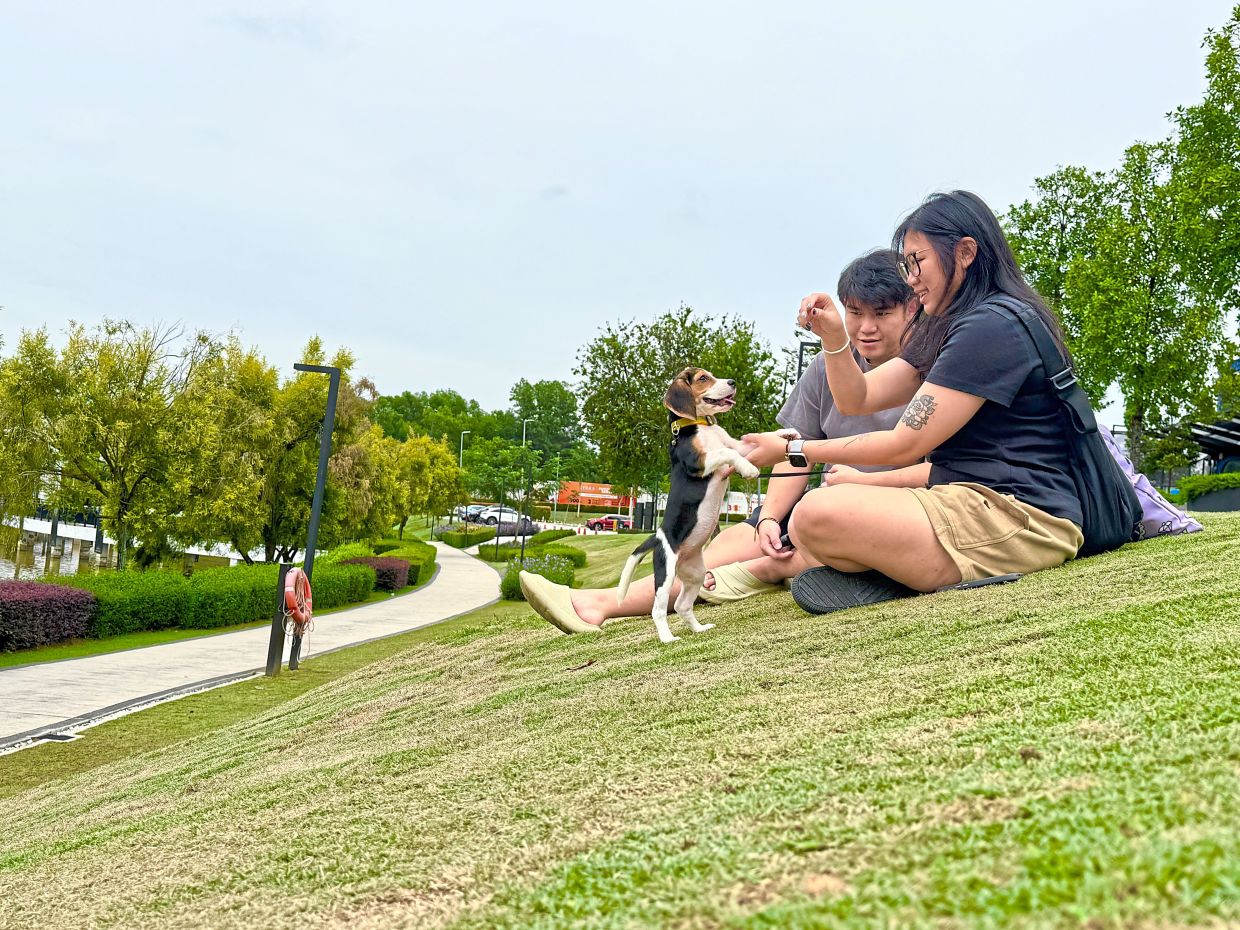 Sorry! Image not available at this time