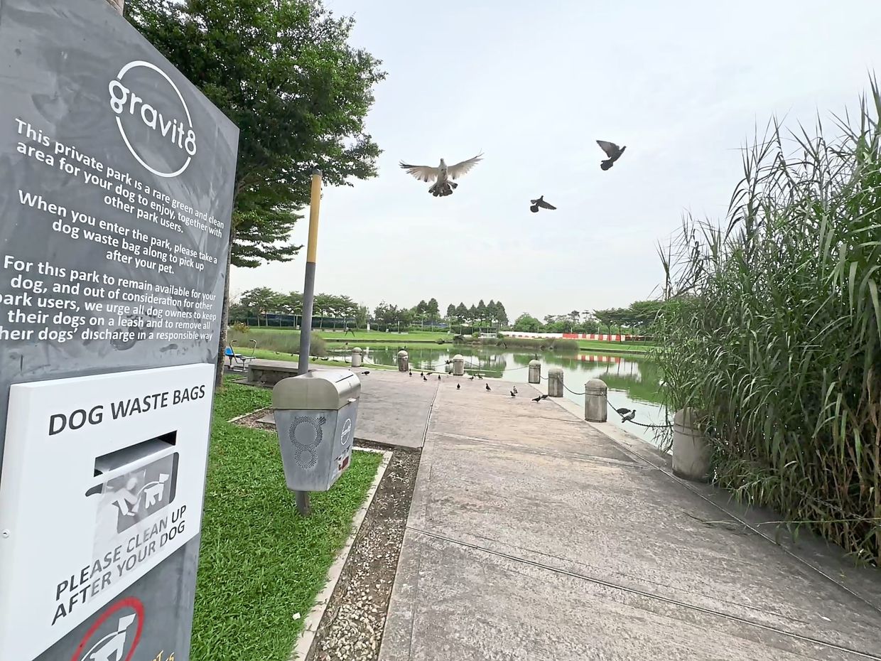 Plastic bags provided at Gravit8 Lake Park in Klang for waste cleanup.