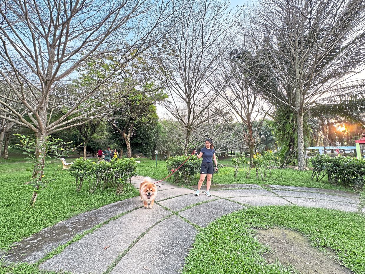Taman Wawasan Recreational Park in Puchong is a haven for dogs loving long walks, with lake views and shady trees.