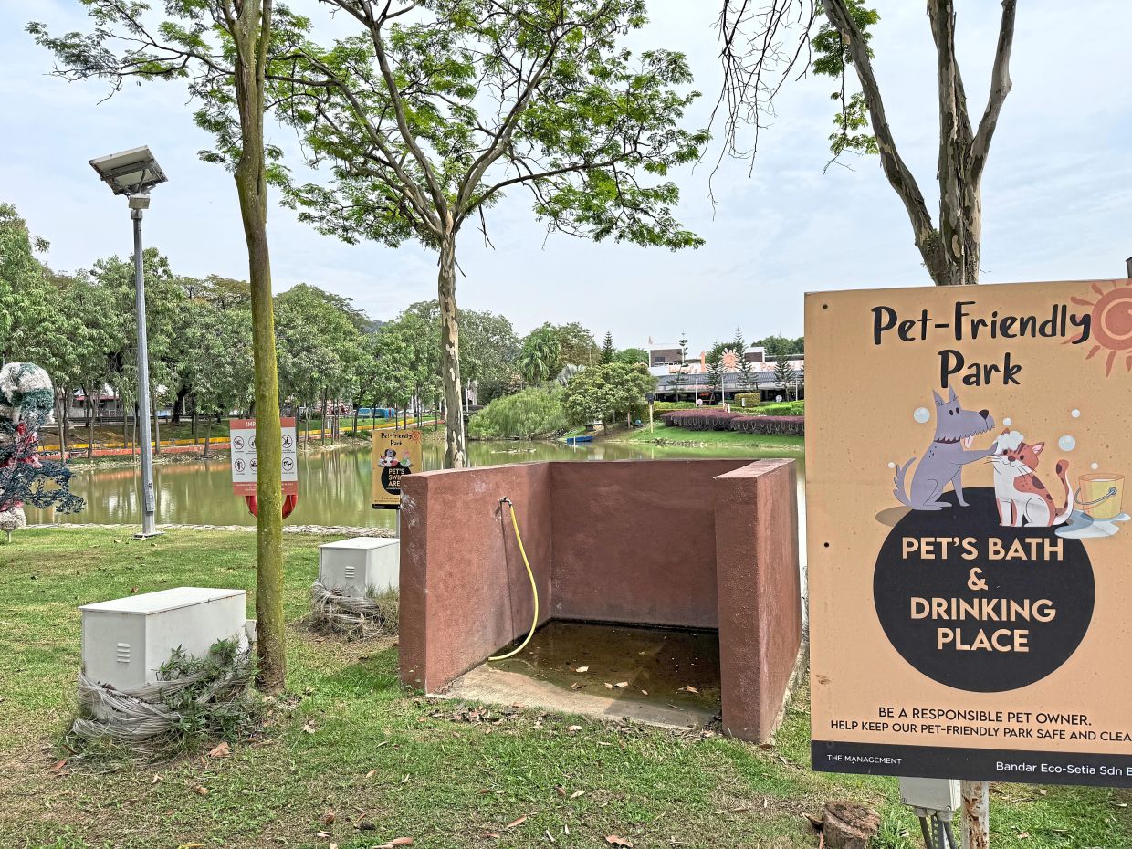 Eucalyptus Walk in Setia Eco Park has a washing facility. In the background is where pets can enjoy a cooling swim.