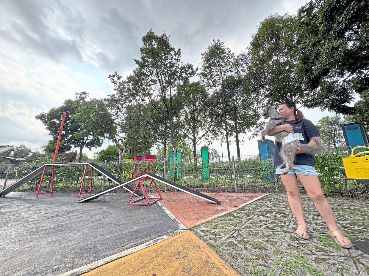 A pet owner cuddling her German Schnauzer at Origami Park in Jade Hills, Kajang.