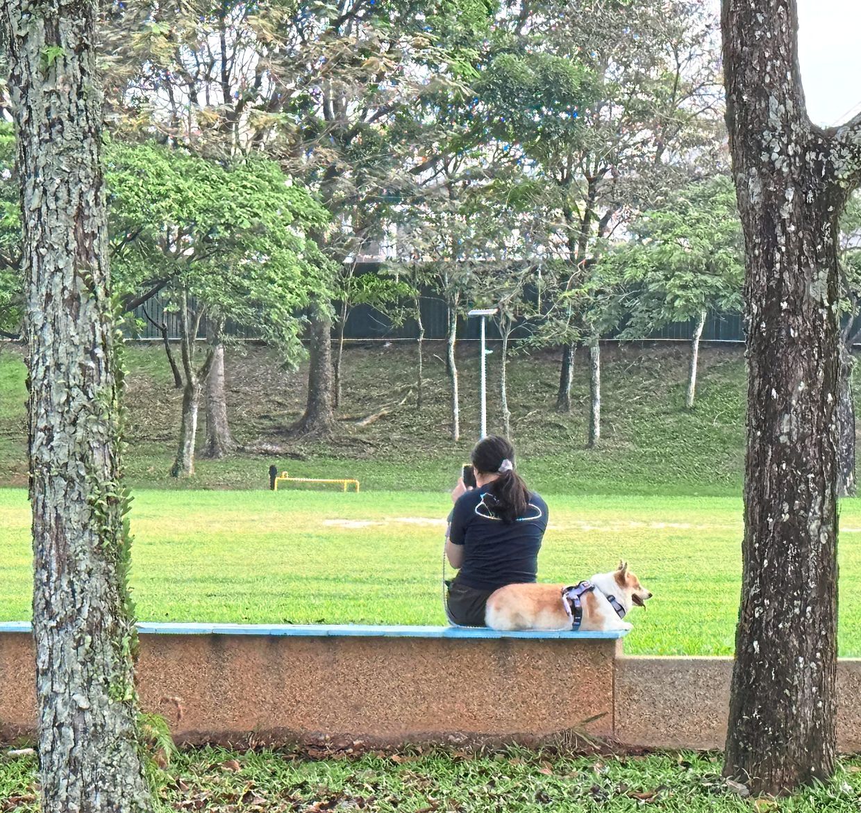 A visitor and her pet enjoying the environs of Central Park at 16 Sierra in Puchong South.