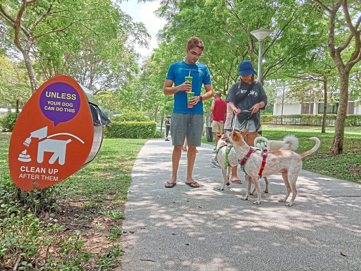 Plastic bag dispensers are a feature of The Central Park in Desa Park City. — Filepic