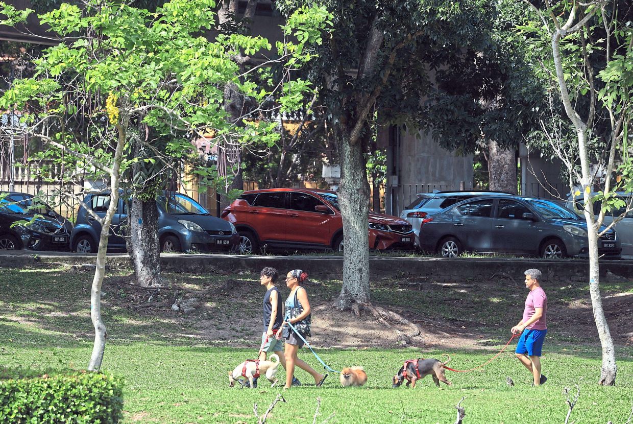 Owners and pets taking a walk at Central Park in Bandar Utama.