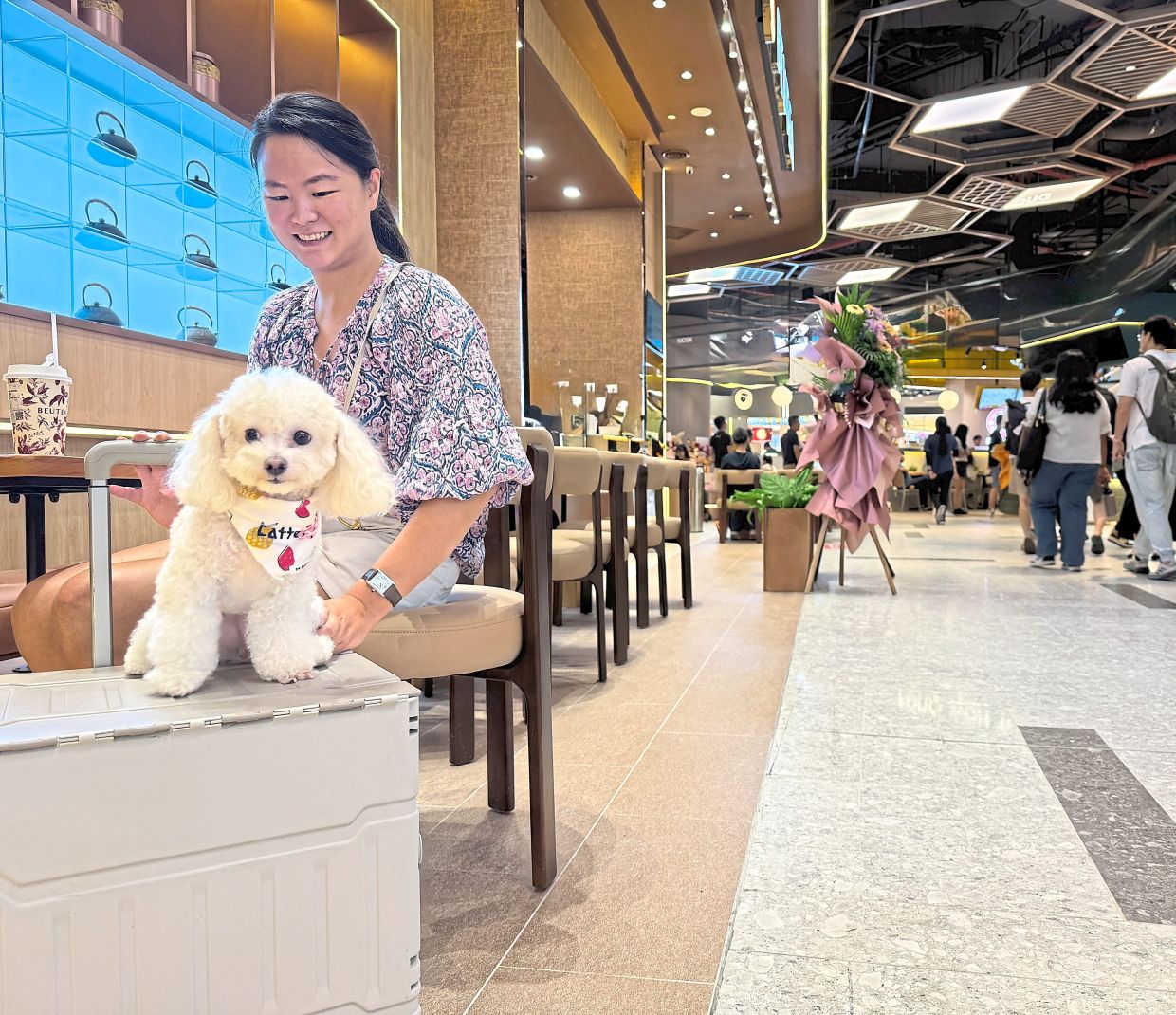 New guidelines aim to resolve shopping mall pet dispute