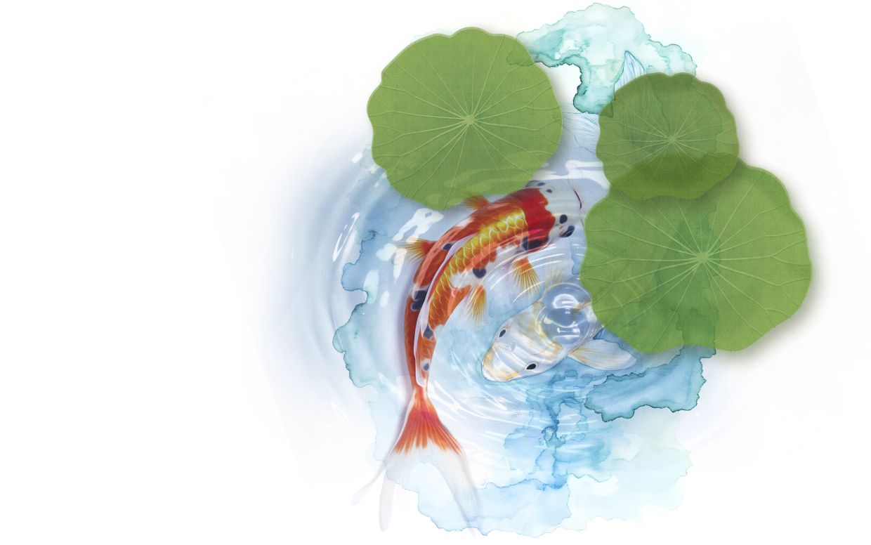 CMP4’s critical role in capital markets