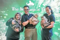 A poet’s meowgical tour of Malaysia