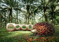 Nurturing plantations with ESG