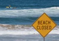 Australian boy dies after shark attack in Sydney Harbour