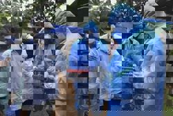 Thailand is on high alert over the Nipah virus situation in India