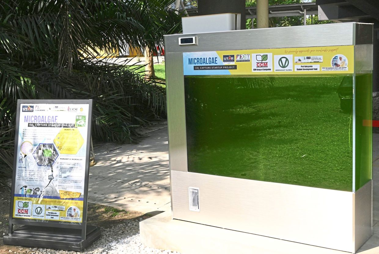 UTAR startup turns science into action