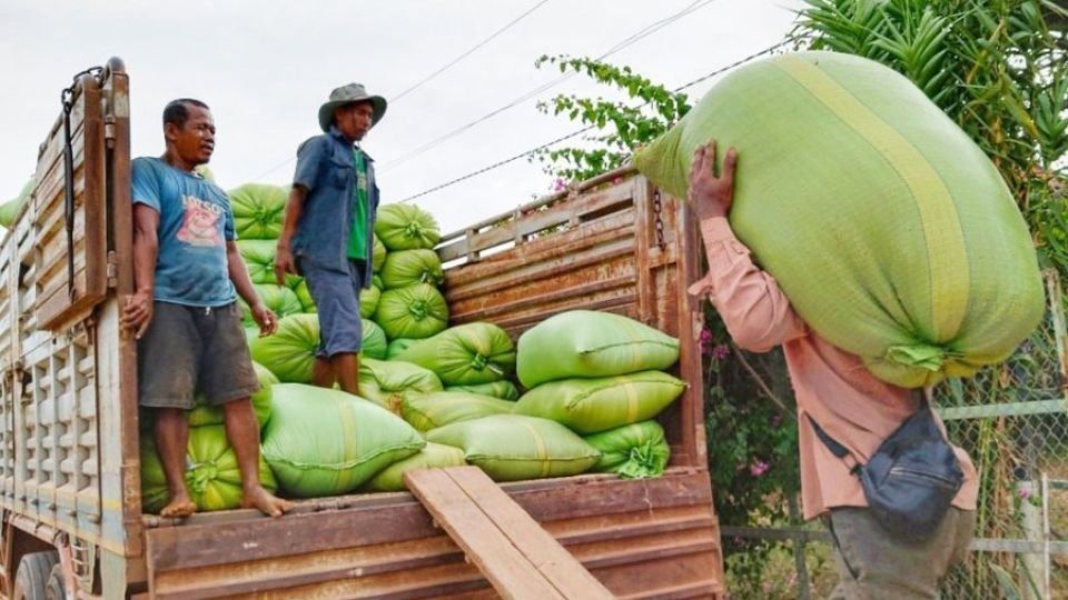 Rising business: Cambodia's agricultural products exports up 7.3 per cent in 2025