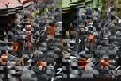 HK has another hit movie. Can such flicks save the industry from terminal decline?