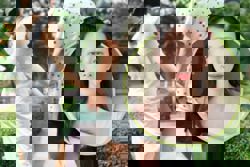 China wife ordered to apologise to cheating husband for posting sarcastic story about infidelity