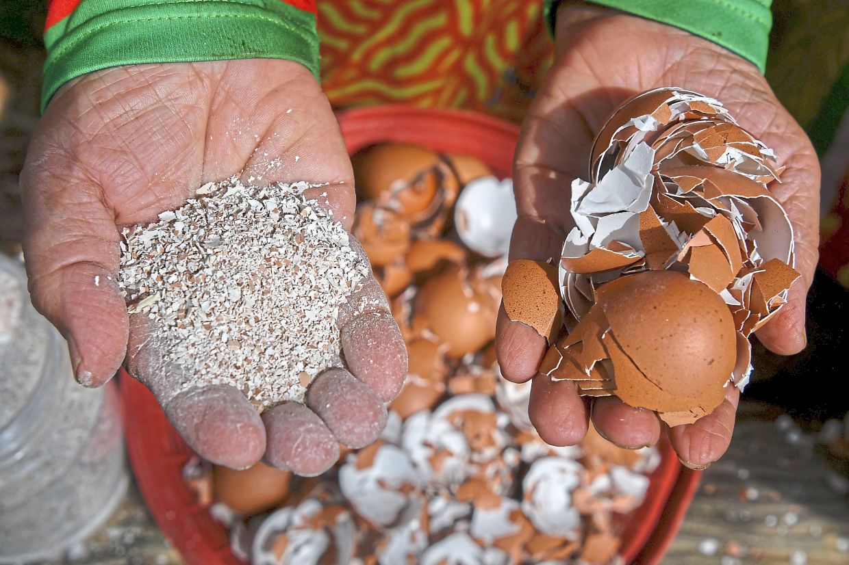 The organic fertiliser initiative in Kota Baru aims to reduce food waste. — Photos: Bernama