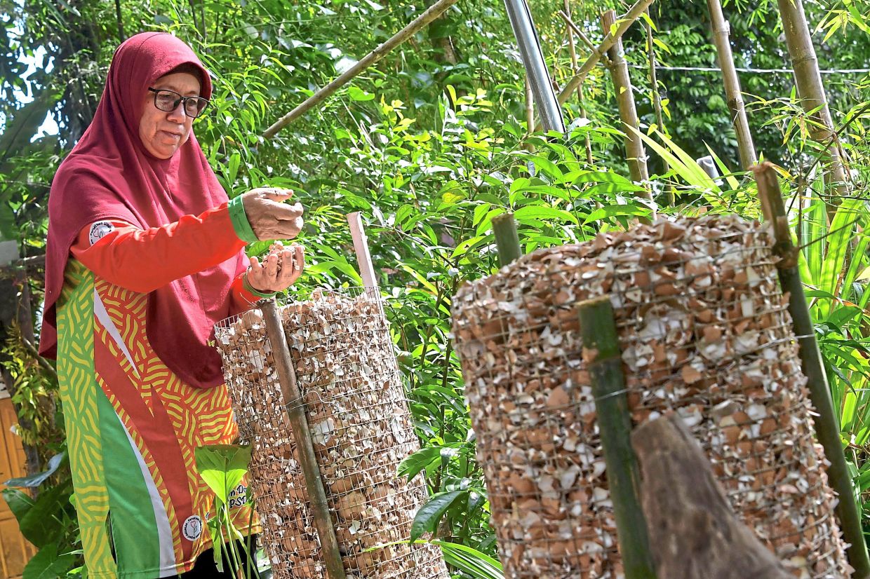 Crushing sustainability with discarded eggshells