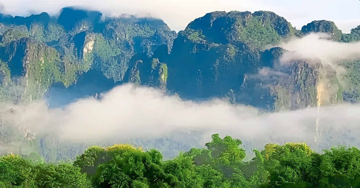 Laos inks deal with partners to bolster wildlife and forest protection