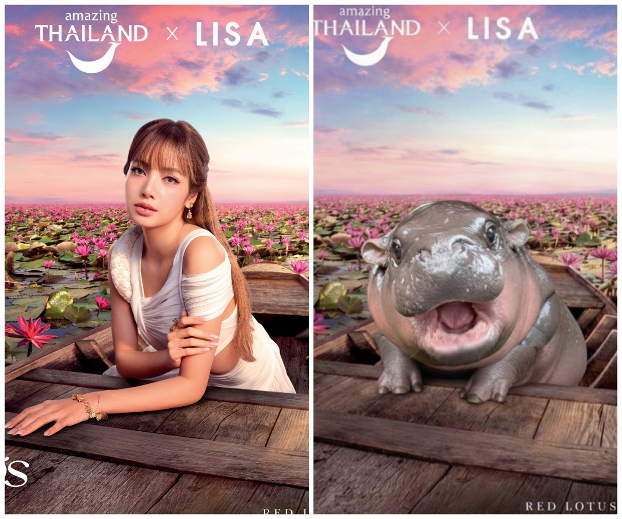 Thai tourism campaign featuring Blackpink’s Lisa draws memes, criticism