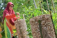 Crushing sustainability with discarded eggshells