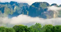 Laos inks deal with partners to bolster wildlife and forest protection