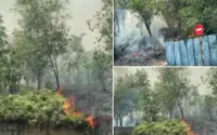 Forest fire erupts near Denai Alam toll plaza