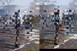 Trump moved to cut funding for ICE body cameras, pared back oversight