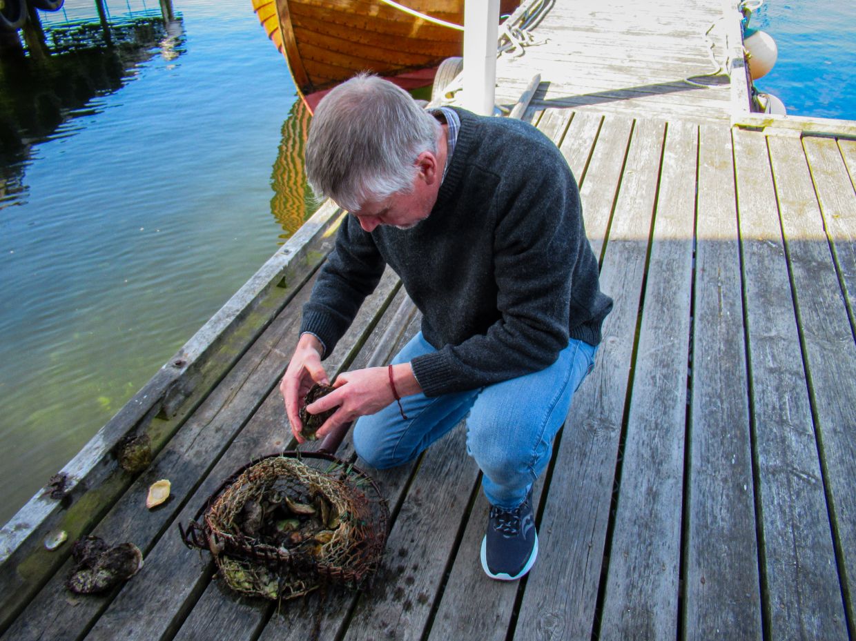 Oyster farmer Per Karlsson in Sweden, sorting through the day's catch before showing guests in Everts Sjöbod what blue food is all about. Photo: Sabine Glaubitz/dpa-tmn