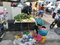 Granny, 88, gets a helping hand to sell her veggies without disruption