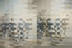 As tech chiefs woo Trump, Silicon Valley seethes over Minneapolis shootings