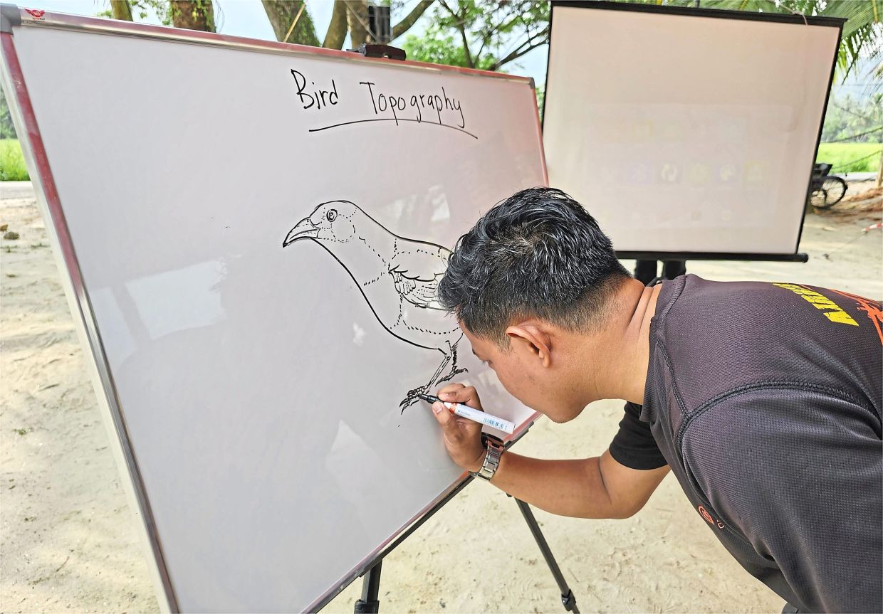 The SPMP uses bird topography and drawing sessions to introduce coastal species to the public. Photo: Dr Nur Munira Azman