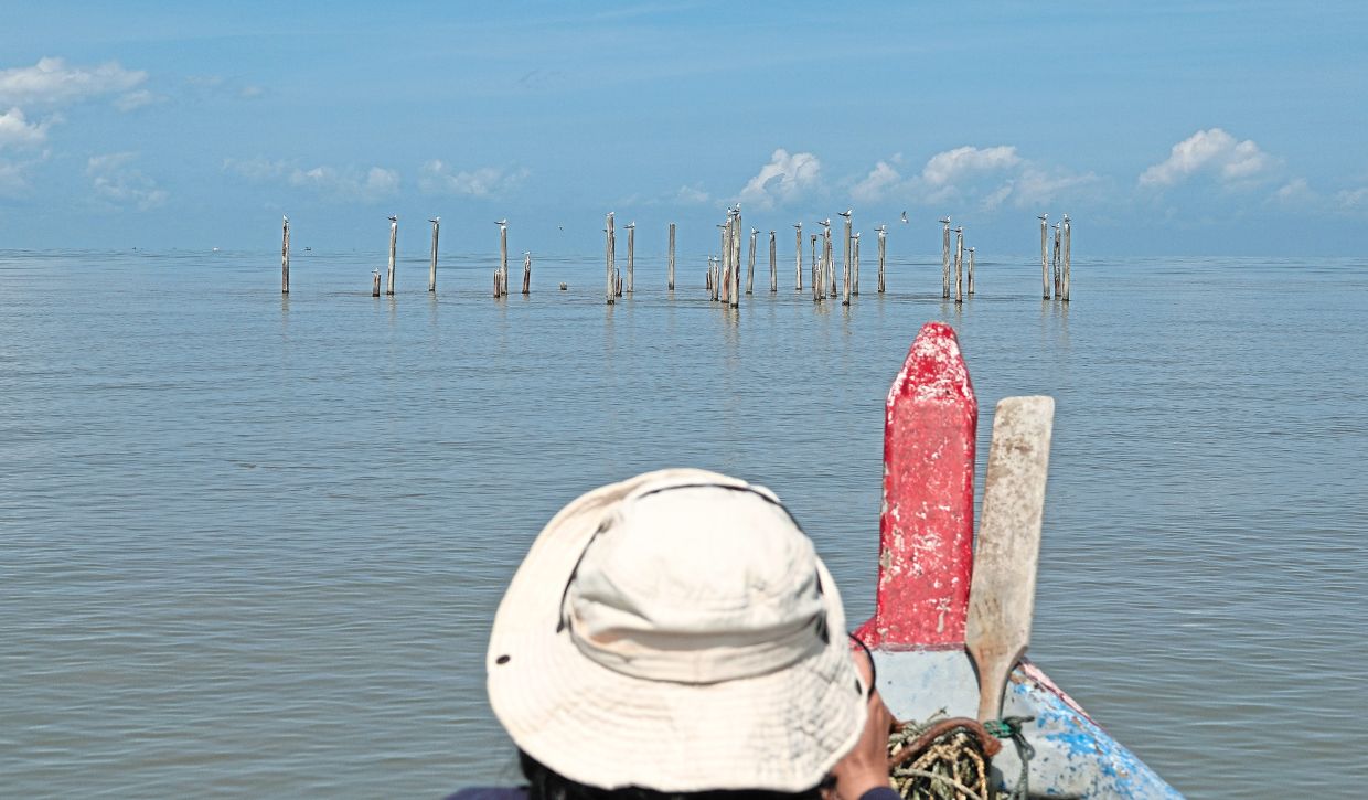 Surveying shorebirds often involves hours on a small, unsheltered boat under the sweltering sun. Photo: Dr Nur Munira Azman