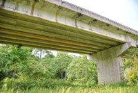 Making highways safe for wildlife