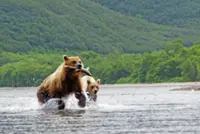 You can build a snowman (or look at brown bears) in Russia's Kamchatka