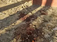 Asean FMs to tackle Myanmar peace plan, elections in Cebu retreat