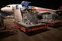 Japan-born pandas Xiao Xiao and Lei Lei arrive in China as bilateral ties freeze