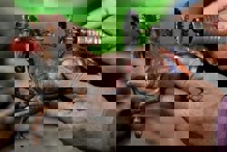 Asean news headlines as at 10pm on Wednesday (Jan 28)