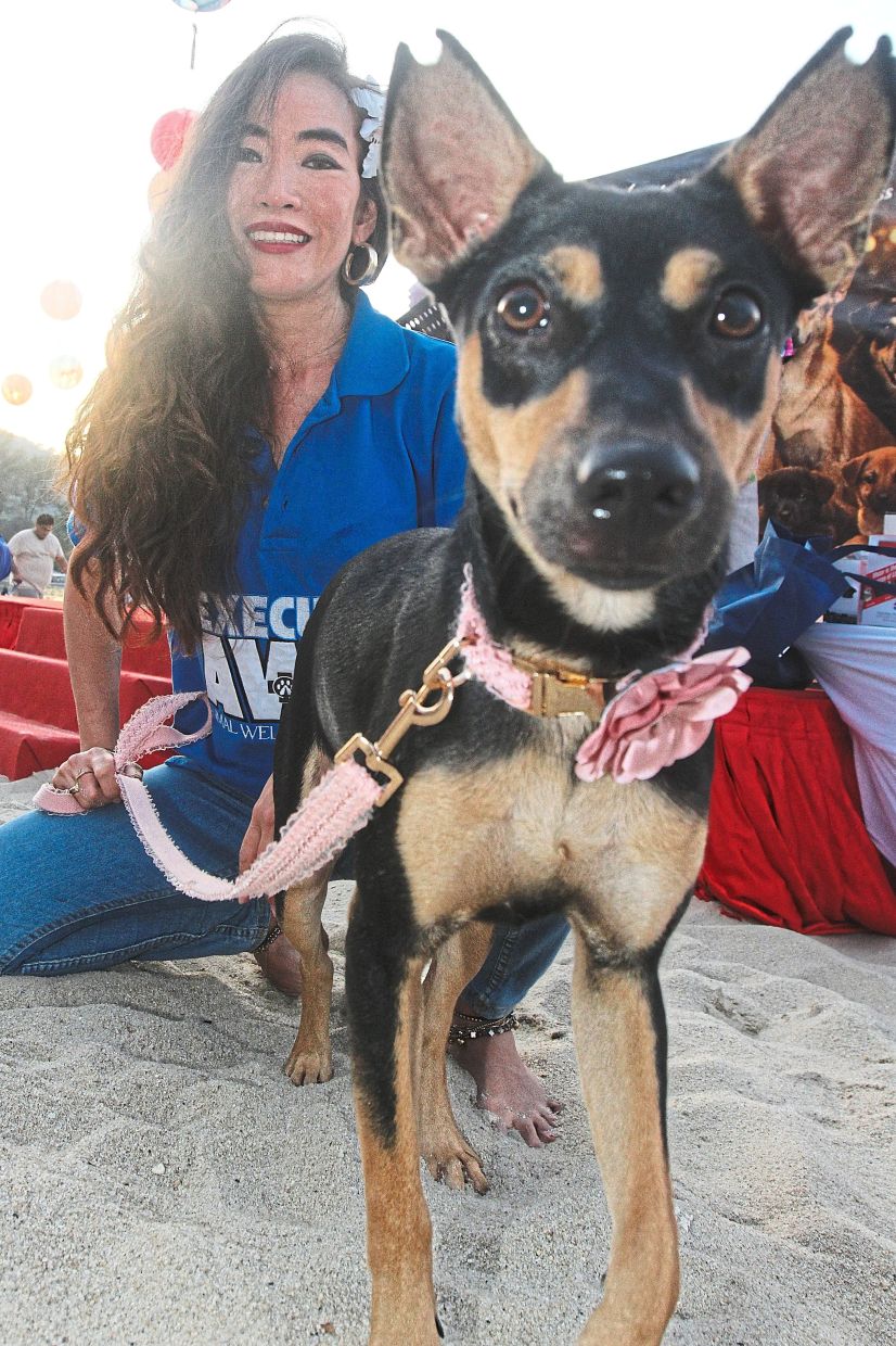 Execute Animal Welfare Act founder Sue Ann Kong with her pet dog at the event.