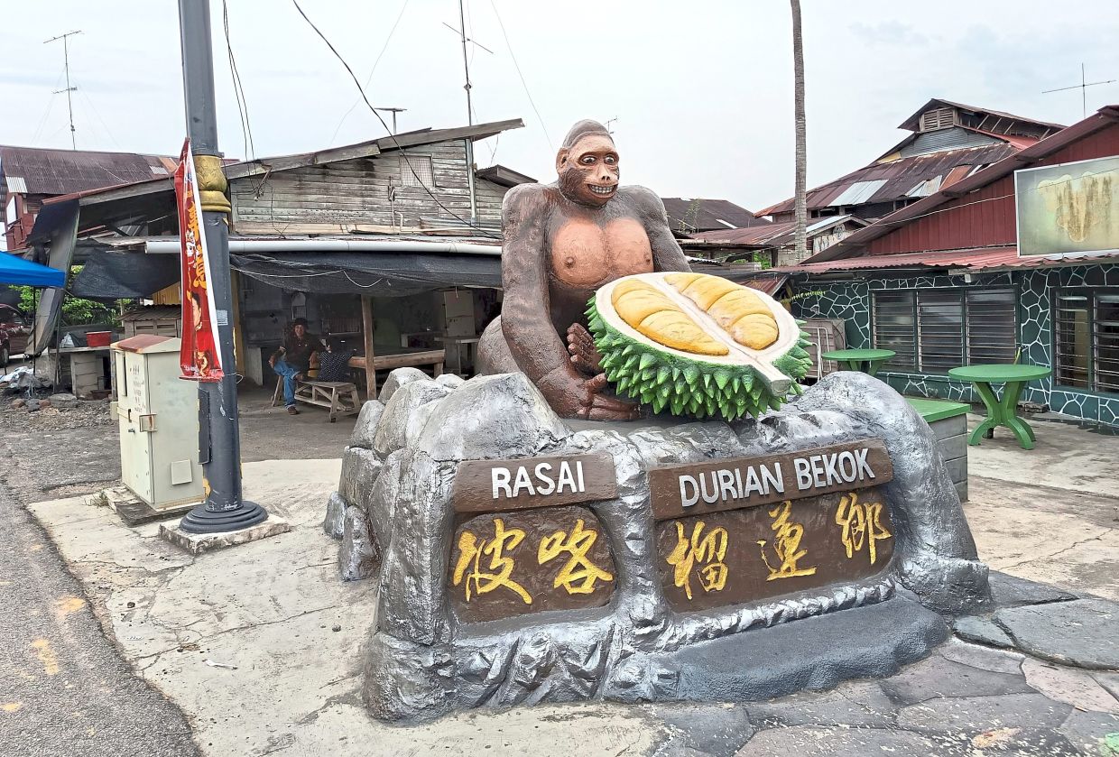 Bekok is famous for its durian, and sees many visitors when the fruit is in season.