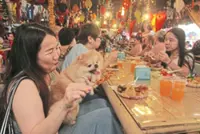 Teluk Bahang dog shelter needs RM1.2mil to relocate