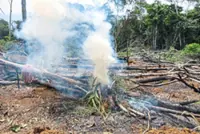 Cops warn against open burning following bush fire in Muar