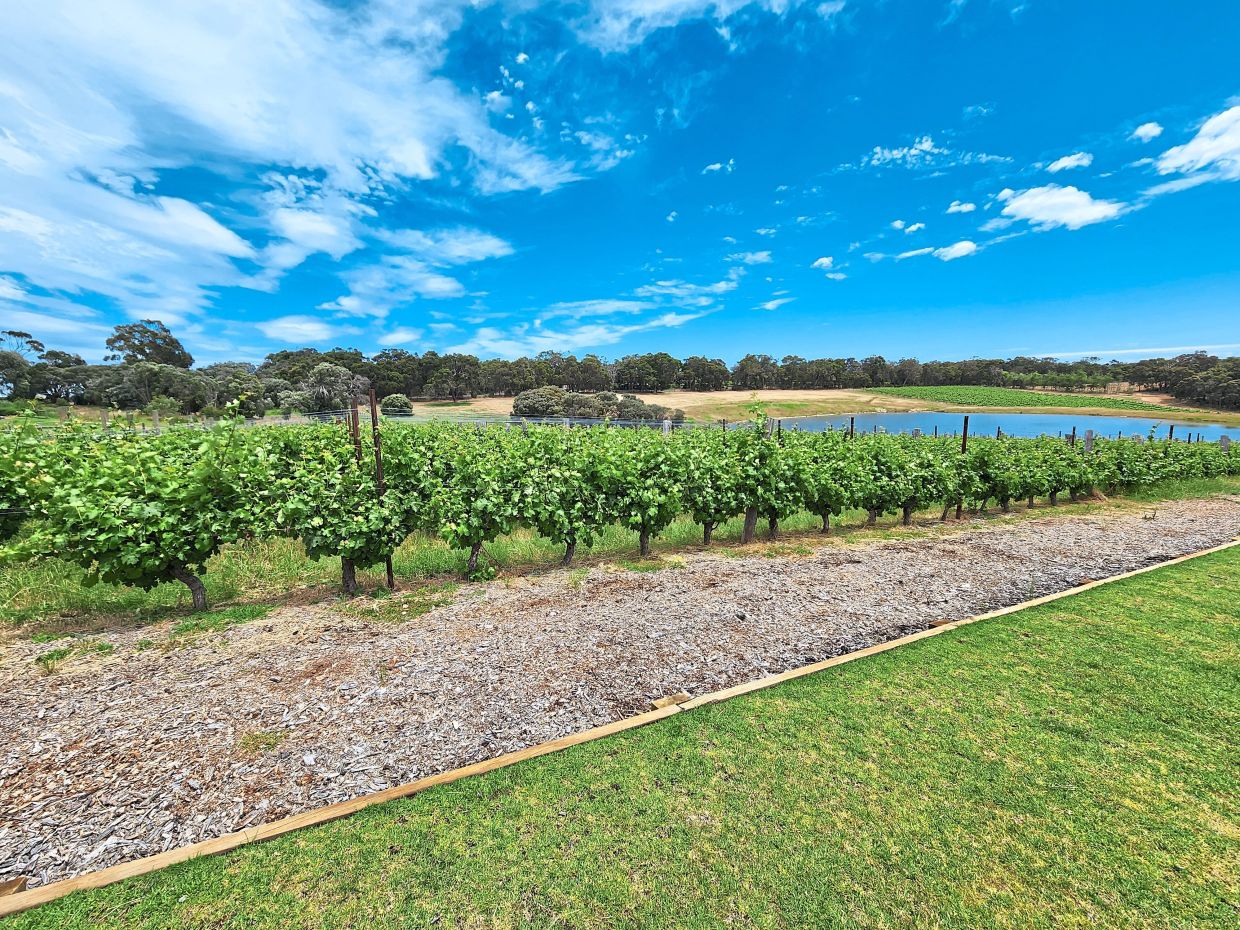 Margaret River’s best food and wine experiences