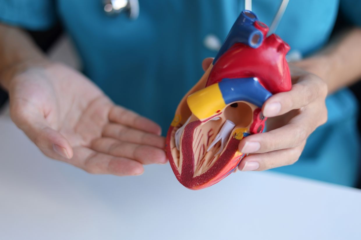 How TAVI is redefining treatment for aortic stenosis