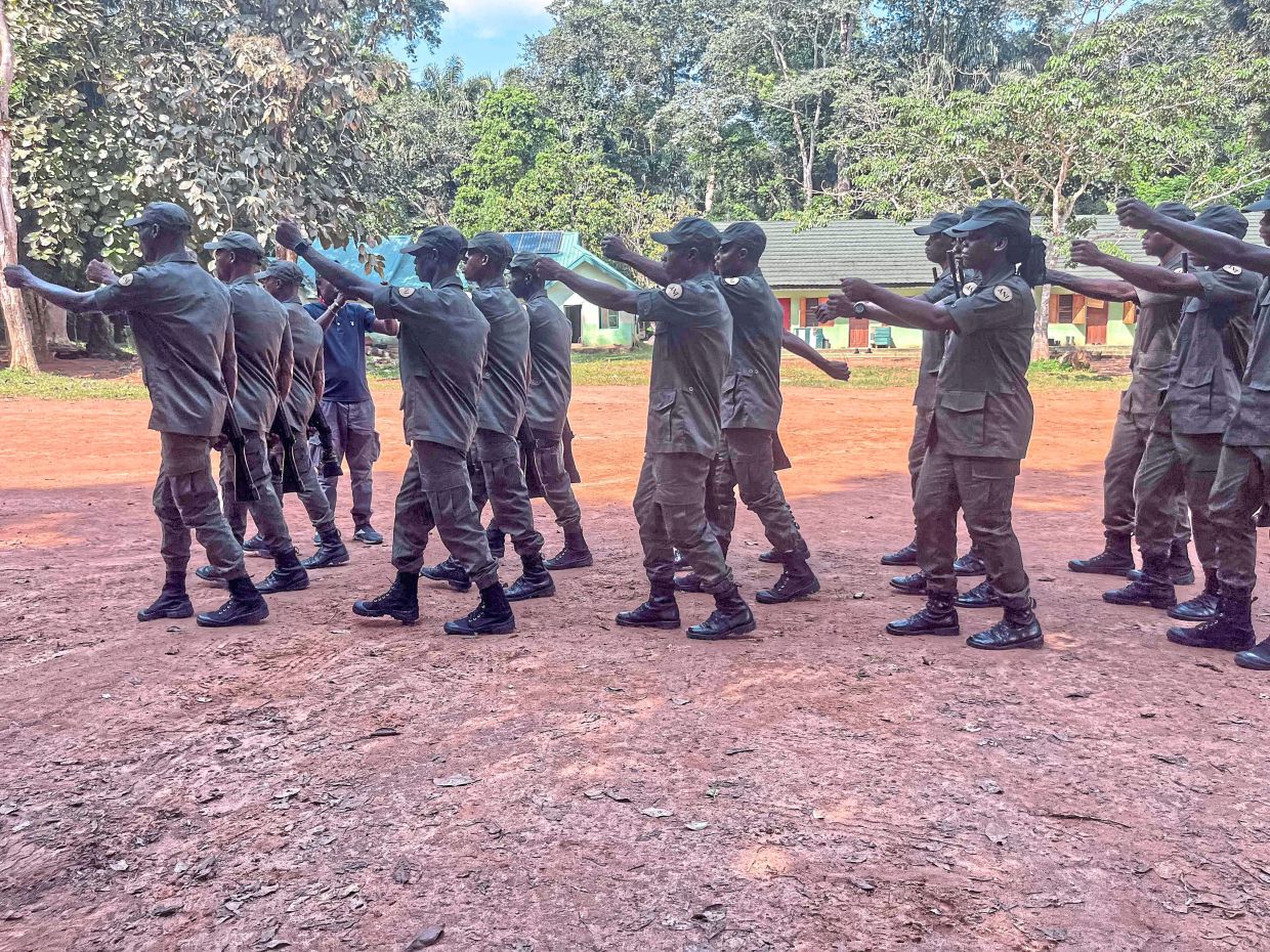 Nigeria turns illegal loggers, poachers into park rangers