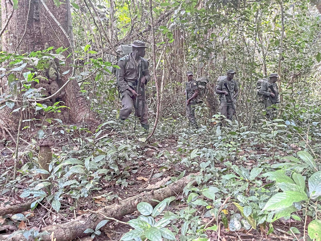 Unlike previous generations of park rangers in Nigeria, today's ANI rangers carry guns.