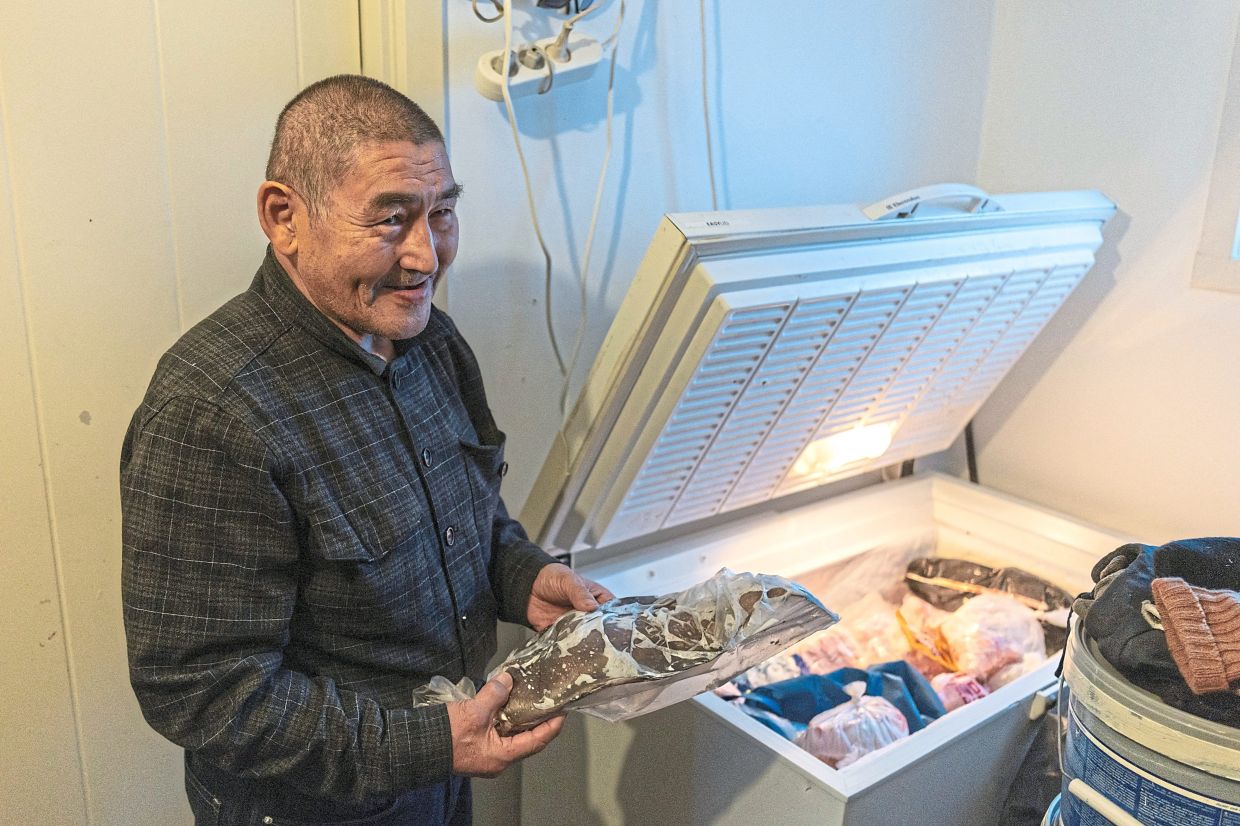 Freezers full of seal meat: No one owns our Arctic land, we share it, say Greenland's Inuit